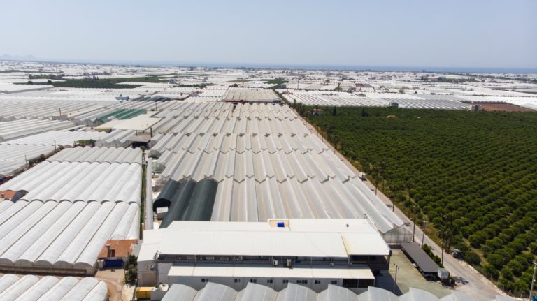 Olympos Fide sera ve üretim alanı